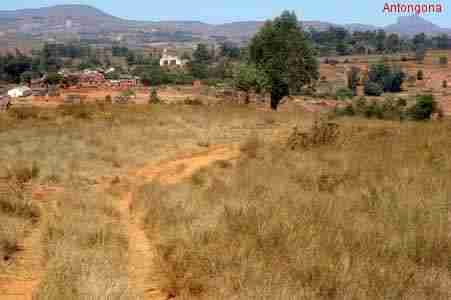de Ambohibeloma vue sur Antongona