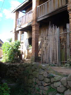 palissade bambou