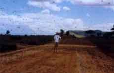 Photos Fianarantsoa Ihosy