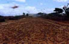 Photos Fianarantsoa Ihosy