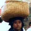 un regard