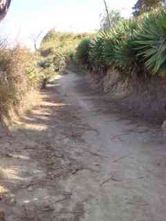 Chemins de rondes qui correspondent aux fossés protégant la village